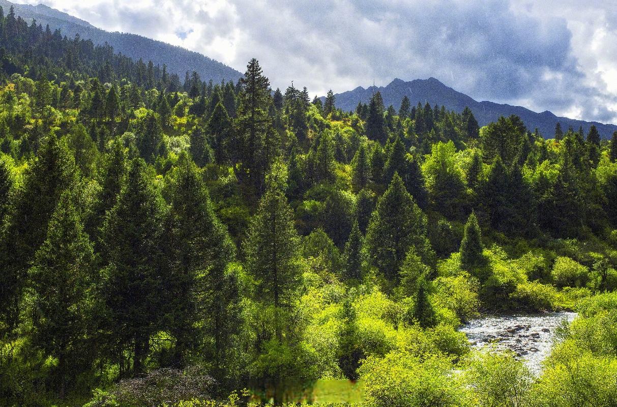 <em>课件</em>：森林草原<em>防火</em>技术<em>专业</em>《林学<em>概论</em>——森林生态系统与资源管理》