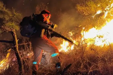 <em>森林草</em>原<em>防火</em><em>技术</em><em>专业</em>《森林<em>火灾</em>扑救组织<em>与</em>指挥》<em>课程</em><em>思</em><em>政</em><em>课堂教学</em><em>设计</em>