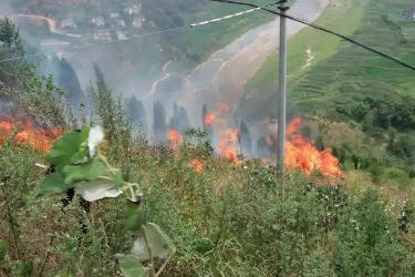 <em>森林草原</em><em>防火</em><em>技术</em><em>专业</em>《<em>林火</em>通讯》<em>课程</em><em>思</em><em>政</em><em>课堂教学</em><em>设计</em>