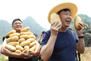 '农民院士'朱有勇<em>把</em>论文写在大<em>地上</em>，作物多样性控病推广三亿亩