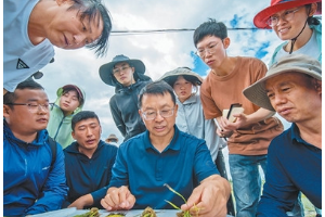 <em>把</em>论文写在大<em>地上</em>——记2026'最美教师'张福锁与科技小院