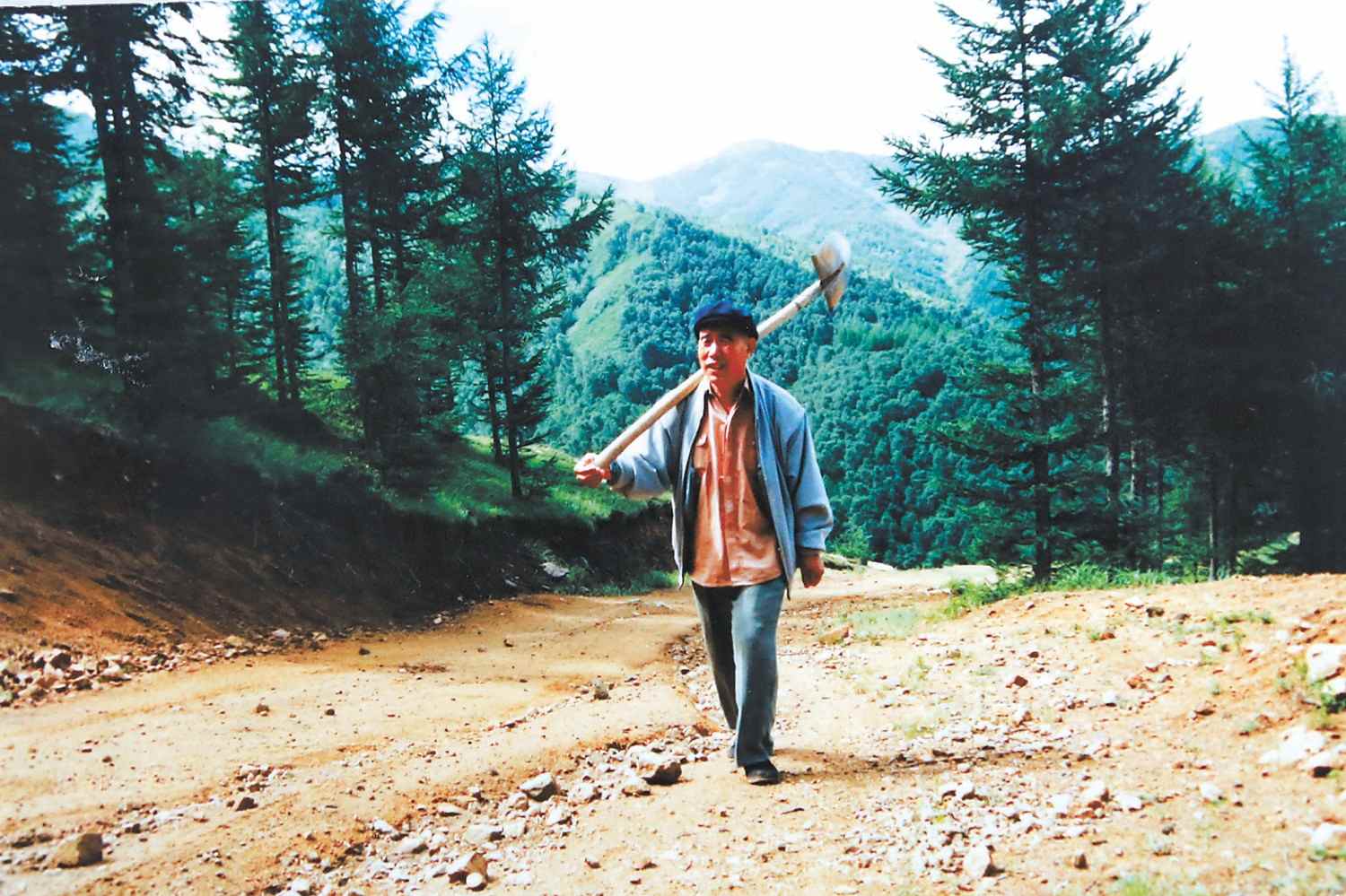 董鸿儒用心爱护好每一棵<em>树</em>，60多年<em>把</em>一生种进苏木<em>山林</em>海