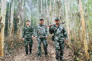 广西<em>最美</em>护林员张学林<em>的</em>22年守山路
