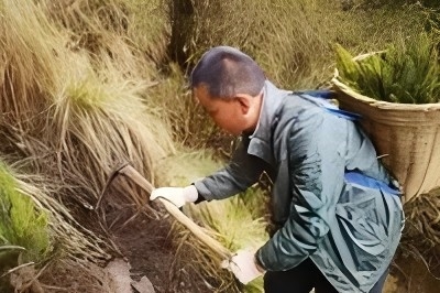 护一片绿追一束光——记全国森林草原防火先进个人冯斌