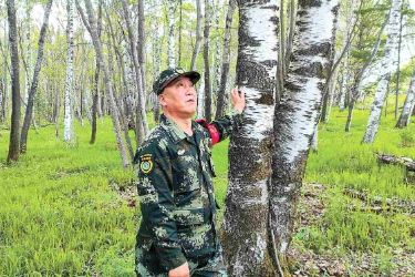 2025年全国劳动模范、龙江森工绥阳局森林<em>防火</em>部部长