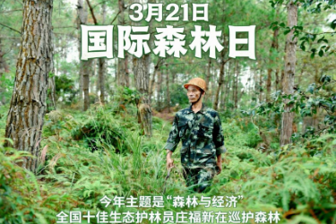 全国十佳生态<em>护林员</em>庄福新：守护<em>青山</em>就是守护每次呼吸