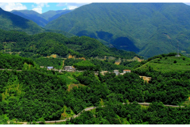 00后林三代接续父辈守望青山，神农架云盘<em>管护</em>中心巡护员