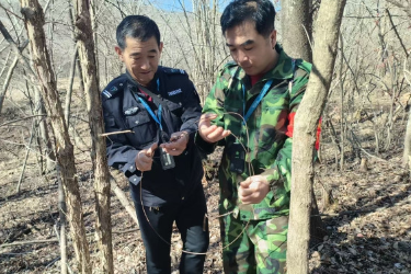 从砍树人到看树人，天然林停伐后转型森林<em>巡护</em><em>员</em>