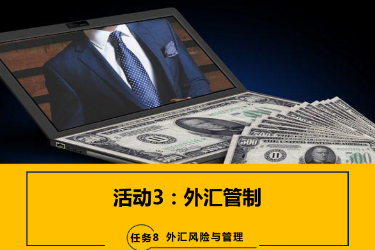 <em>课件</em>：<em>国际金融</em>、<em>金融</em><em>服务</em><em>与</em><em>管理</em>、<em>国际经济</em><em>与</em><em>贸易</em><em>专业</em>《<em>国际金融</em>—-8.2外汇管制》