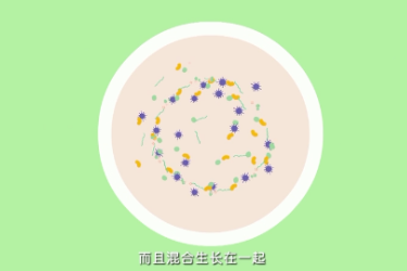 <em>微</em><em>课</em>：食品<em>检验</em>检测<em>技术</em><em>专业</em>《细菌<em>的</em>平板划线分离》