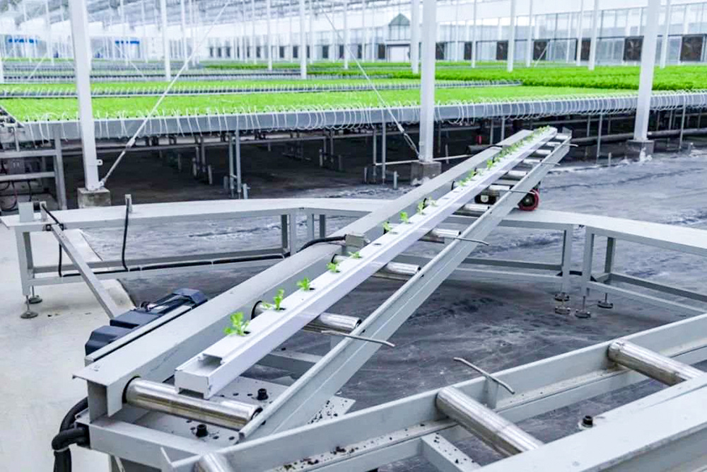 浙江嘉兴：“AI+<em>智慧</em><em>农业</em>”激活现代<em>农业</em>发展<em>新</em>引擎4