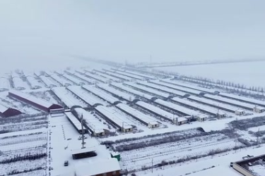 新疆玛纳斯：大棚用上石墨烯 <em>智慧</em>农业“种”出冬日<em>丰收</em>景