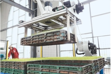 智能育苗助增产