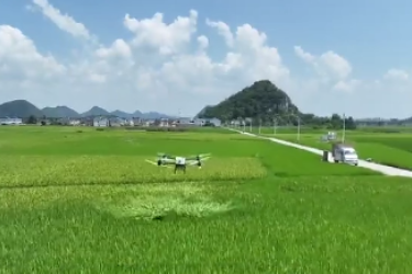 贵安新区龙宝村：<em>无人机</em>织就<em>智慧</em>防虫网 科技护航稻田丰收路