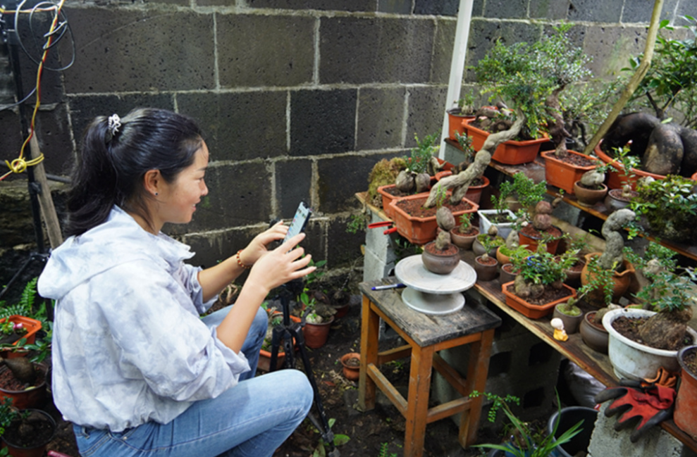 “90后”巾帼<em>新</em><em>农人</em>樊富芝：带领乡亲们走“花路”