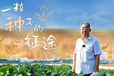 “全国先进工作者”张孟臣：一粒种子的征途
