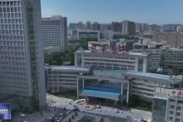 陕西省实施亚洲首例<em>基因</em><em>编辑</em>猪—终末期肾病患者异种肾移植