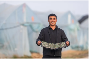 “新农人”李佳伟：“90后”<em>乡村</em>振兴合伙人的育苗经