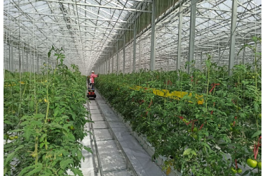 山东潍坊寿光市：智能化大棚为现代农业注入澎湃新动能