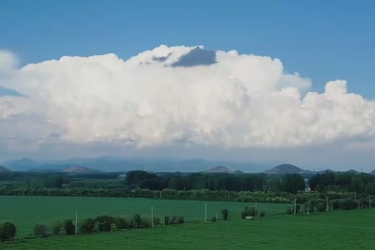 北京新农人刘福娟：科技大棚的“育苗女王”