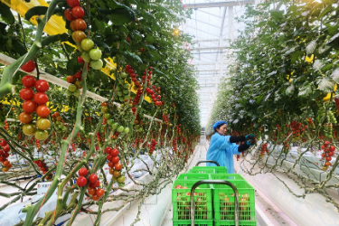 智慧农业让春耕春管降本<em>又</em>增效