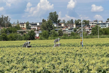 南大姚：数字赋能加快形成新质生产力