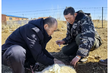 <em>草原</em>兽医林岩 三十二载护牧兴
