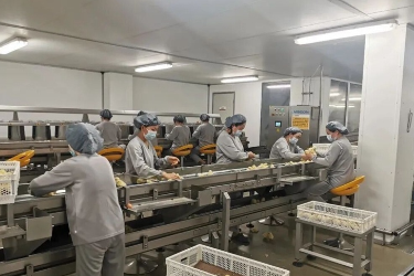 贵州松桃：年产10亿枚 产值16亿元！科技赋能蛋鸡产业全链条腾飞
