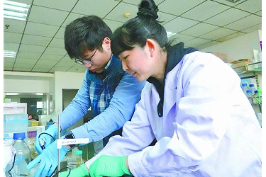 钟瑾：闻香识饲料