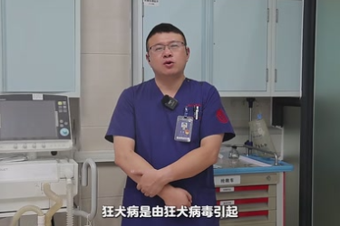 正确认识狂犬病