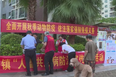 东莞凤岗：猫犬秋季防疫<em>忙</em> 免费接种护安康