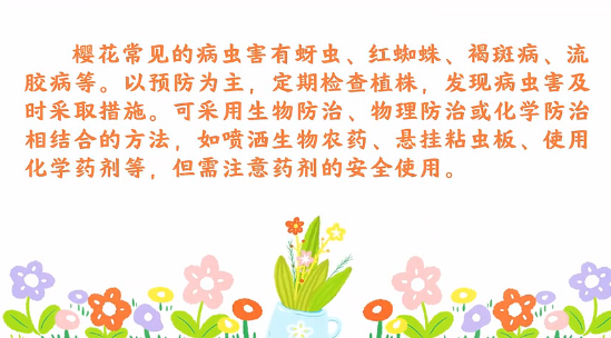 樱花病虫害防治<em>小</em><em>技巧</em>