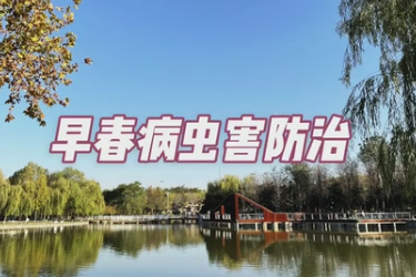 <em>园林植物</em>早春病虫害防治